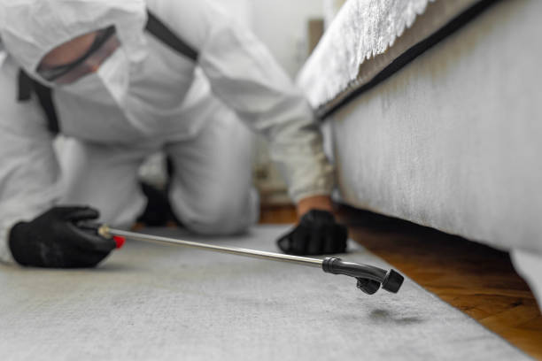 Professional Termite Control technician working in Newfield, NJ