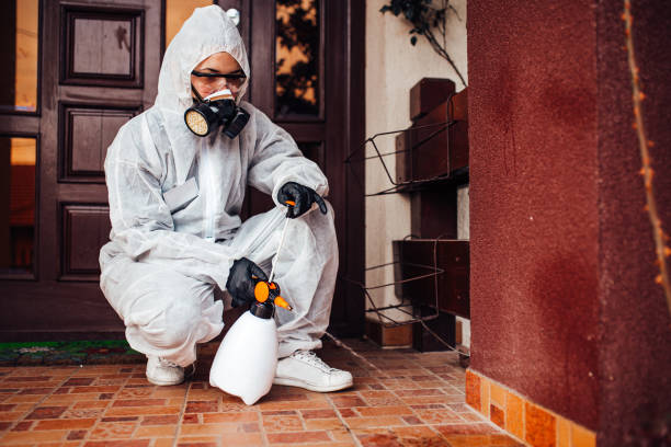 Reliable Termite Control contractor in Newfield, NJ by Nex Pest Control