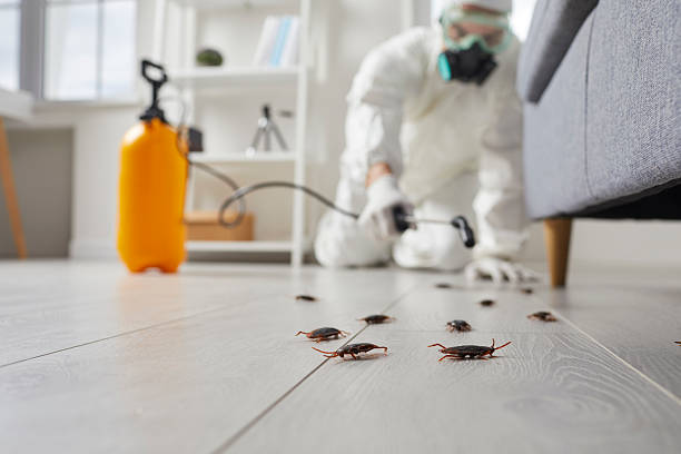 Trusted Rodent Control service in Newfield, NJ - Nex Pest Control